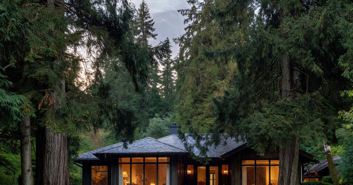 A West Coast house with large windows at dusk, lights on inside, tall cedar trees around it, illustrating how BC Hydro's tiered residential rate works.