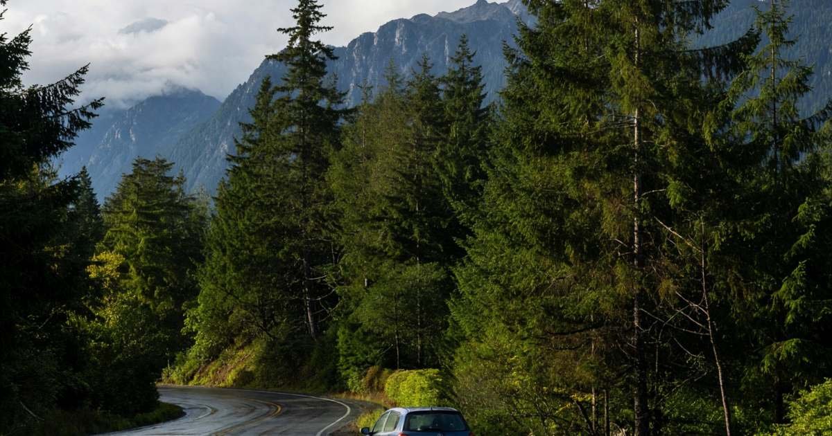 A small hatchback driving along a coastal highway with evergreen forest and mountains, illustrating cutting auto costs for B.C. drivers under ICBC.
