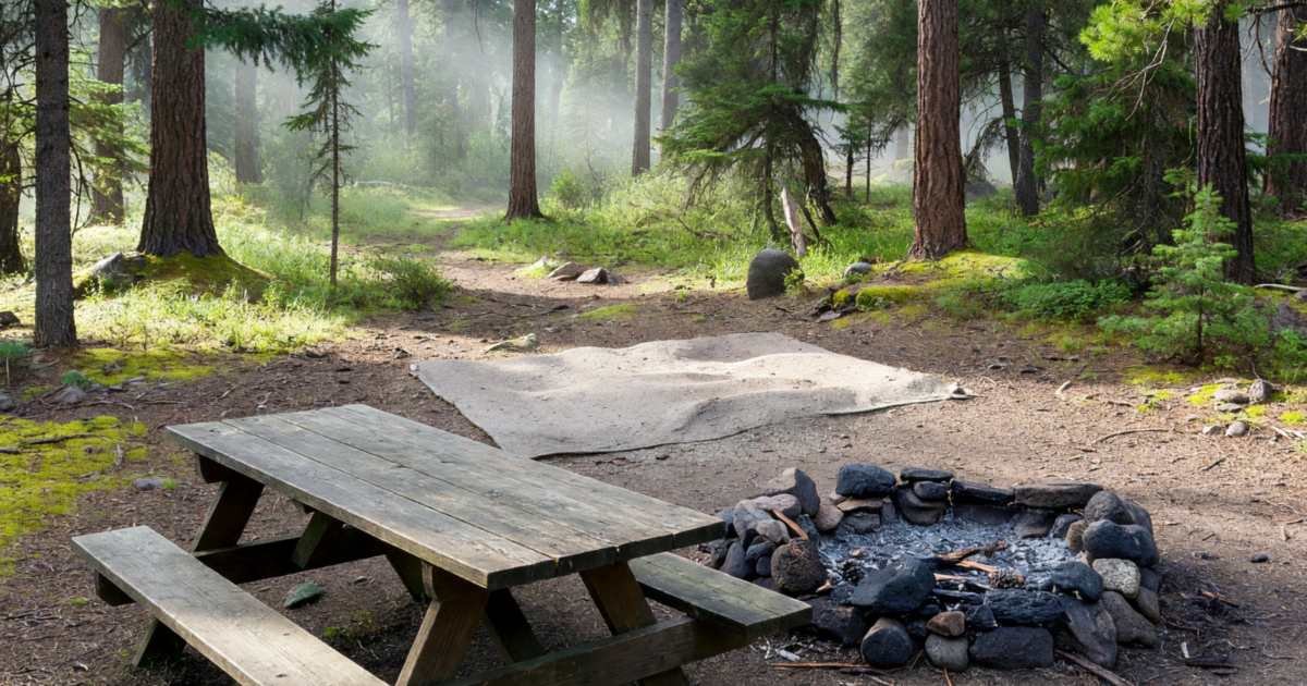 An empty forested campsite with a picnic table, a fire pit and a tent pad, illustrating booking Parks Canada campsites.