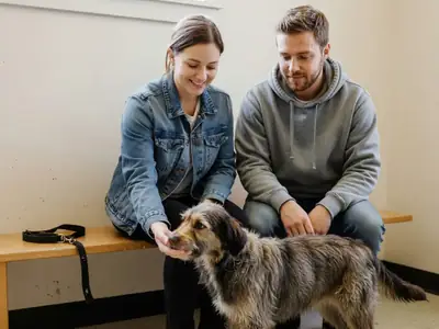A young couple meeting a scruffy mixed-breed dog in an animal shelter visiting room, the dog sniffing the woman's hand.