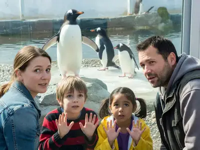 A family watching penguins through glass at a zoo.