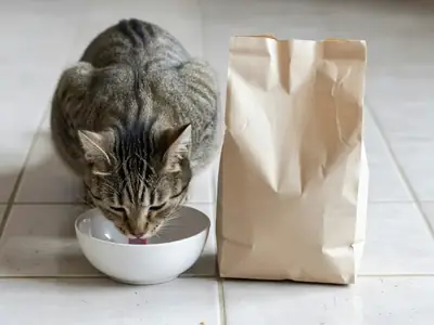 A cat eating from a bowl next to a plain bag of store-brand cat food on a kitchen floor.