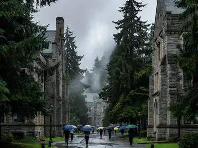 A university campus on a rainy day with students under umbrellas and evergreens.