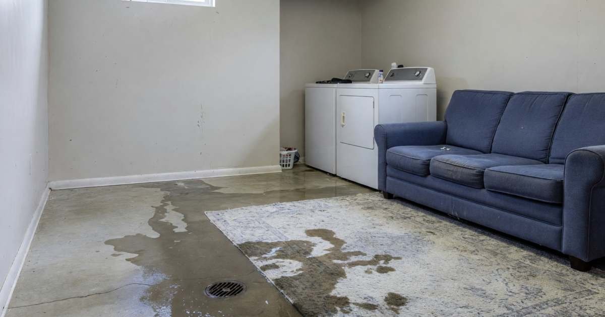 A finished basement with water on the floor near a floor drain and a wet area rug, illustrating water damage versus sewer backup insurance endorsements.